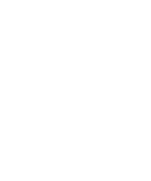 Brain Check