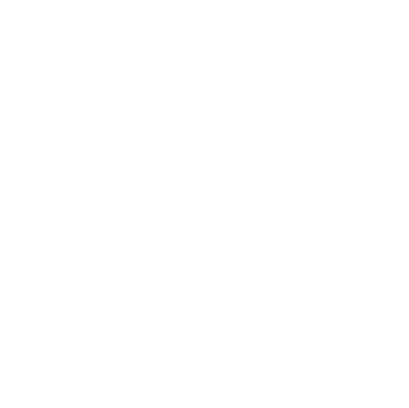 stop icon